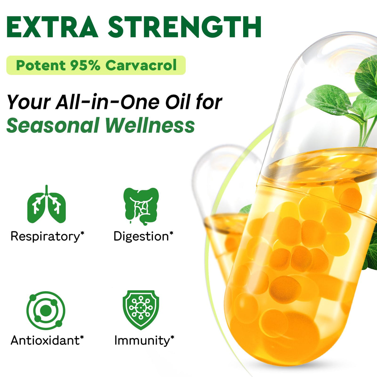 High potency carvacrol and thymoquinone antioxidant dietary supplement capsules