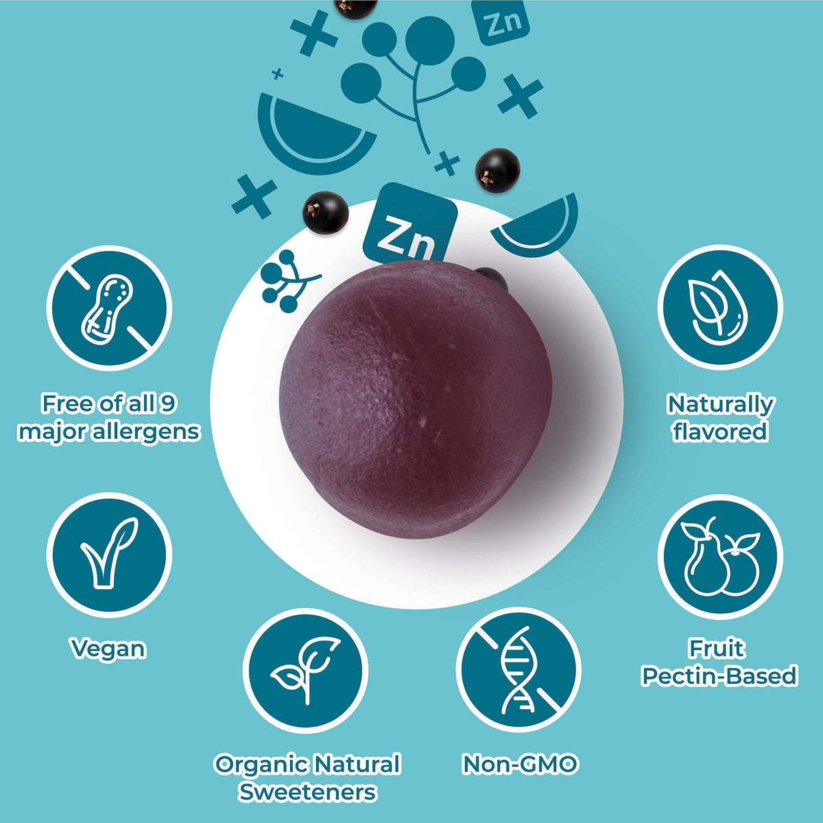 Hyland naturals berry flavor organic elderberry gummies supplement information panel closeup