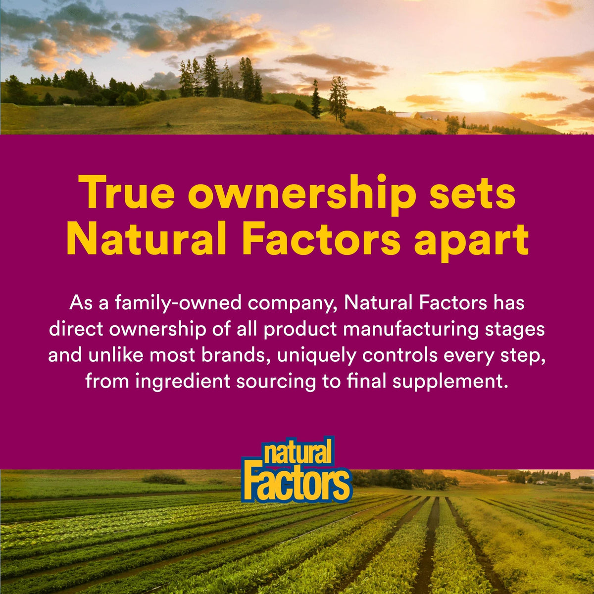 Natural Factors immune support dietary supplement capsule presentation