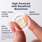 Premium grade oil of oregano softgels by Designs for Health for gut health