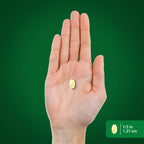 Piping Rock wild oregano oil softgels close up view of daily capsules