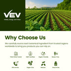 VEV 300 capsules herbal defense formula packaging showcasing the 150 day supply bottle details.