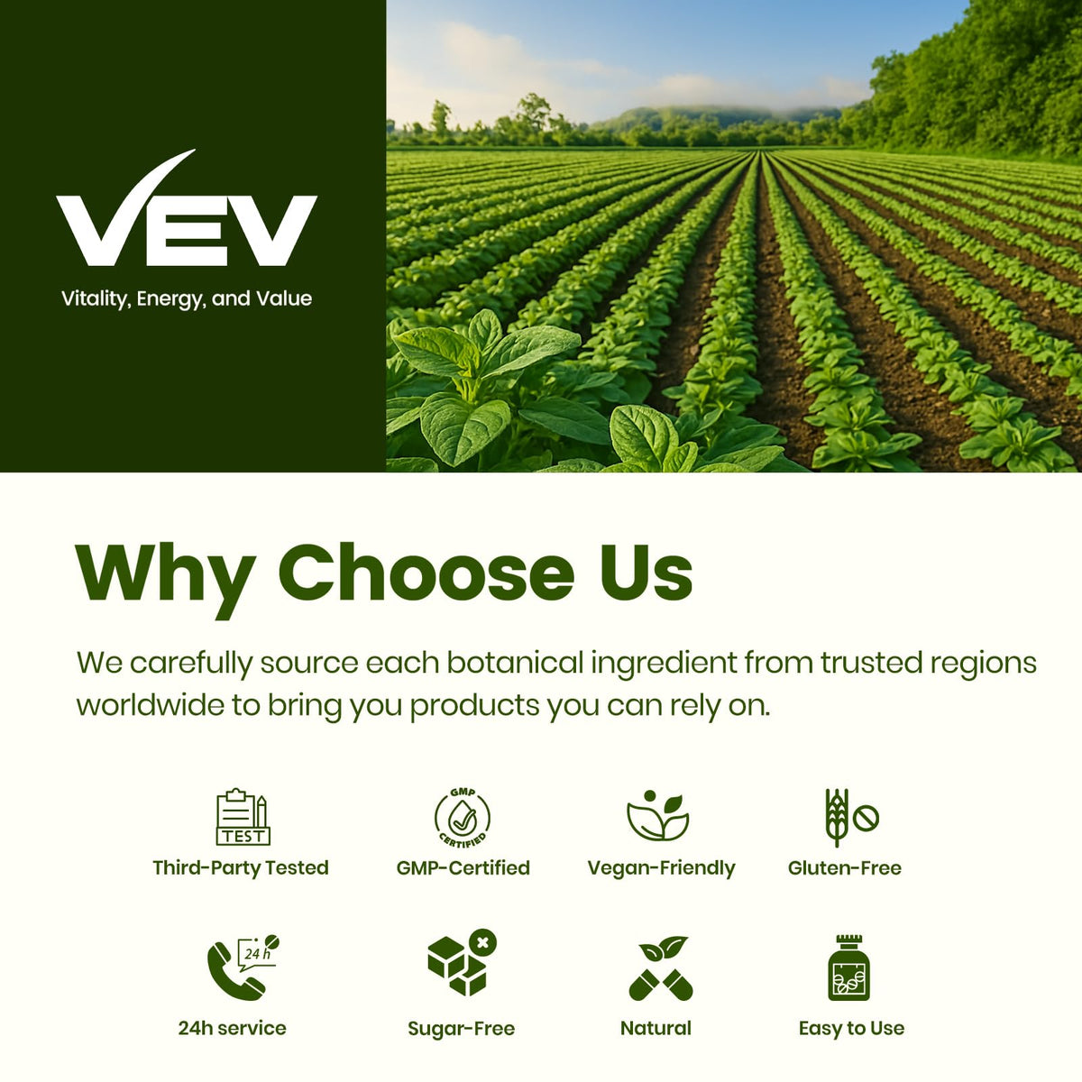 VEV 300 capsules herbal defense formula packaging showcasing the 150 day supply bottle details.
