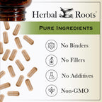 Authentic Herbal Roots immune support supplement bottle showing 90 capsule count