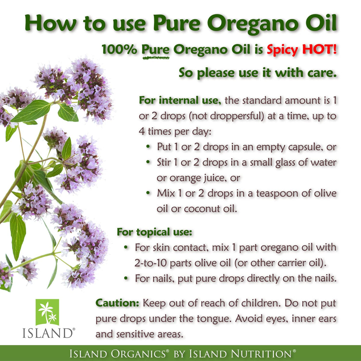 Natural wild oregano vulgare essential extract dropper bottle view