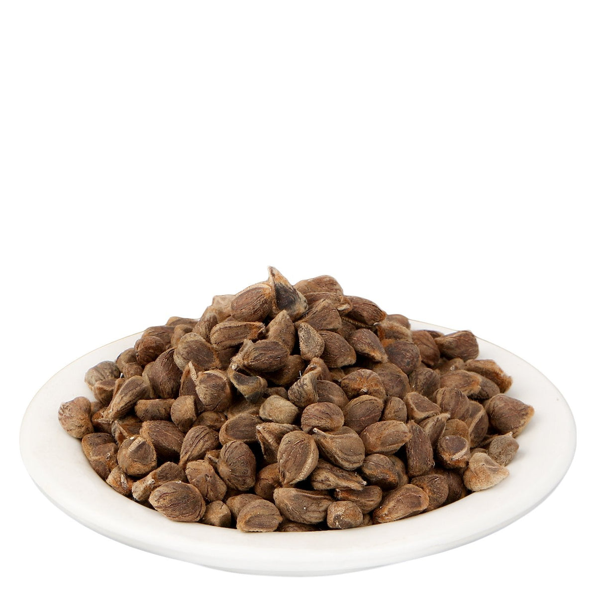 Close up shot of pure machine sorted Argyreia Speciosa Vruddhadaru seeds from Yuvika brand.