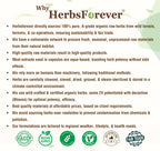 Premium Herbsforever Punarnava four hundred and fifty four grams herbal powder for liver health angled view
