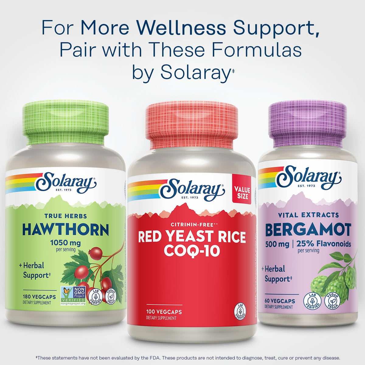 Premium dietary supplement for cholesterol support by Solaray India