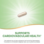 Authentic Nature's Way cardiovascular support garlic supplement bottle