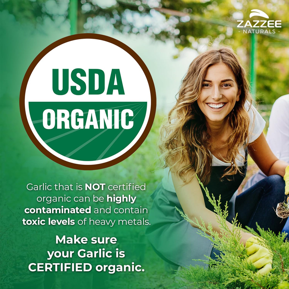 Zazzee organic garlic extract 5000 mg strength supplement bottle showing certified organic labels.