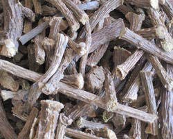 Dried Guduchi Tinospora cordifolia stems for Ayurvedic immune support decoction