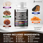 Back view of Clean Nutraceuticals supplement nutritional information