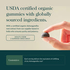 Premium herbal supplement showing 45 count bottle packaging from Gaia Herbs.