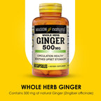 Mason Natural whole herb ginger capsules showcasing premium quality manufacturing seal