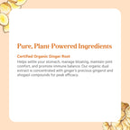 Authentic imported Pure Synergy digestive care bottle showing directions for daily usage