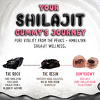 Premium gold grade shilajit resin supplement bottle imported for Indian consumers