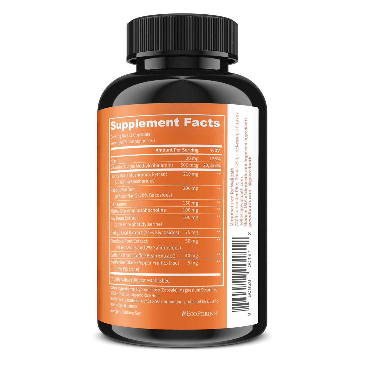 Back label of WellPath Mind Brain Supplement revealing the premium nootropic ingredients list.