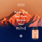 Close-up of the dietary supplement label detailing the Lion's Mane and Ginkgo Biloba dosage.