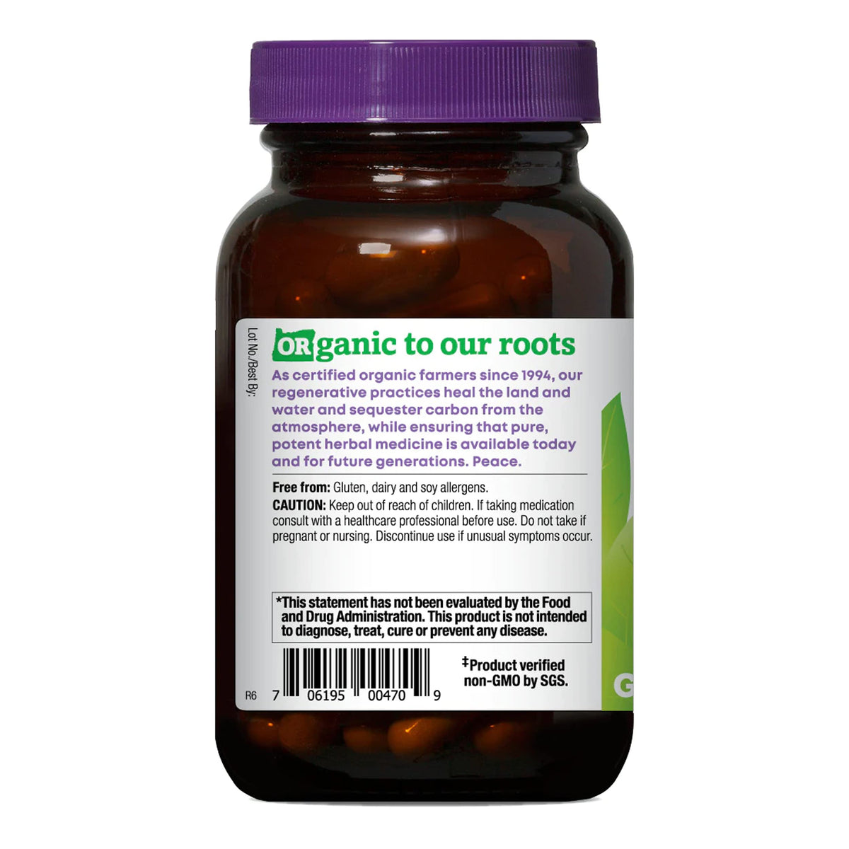 Oregon's Wild Harvest brain and memory supplement vegan capsules ingredient label.
