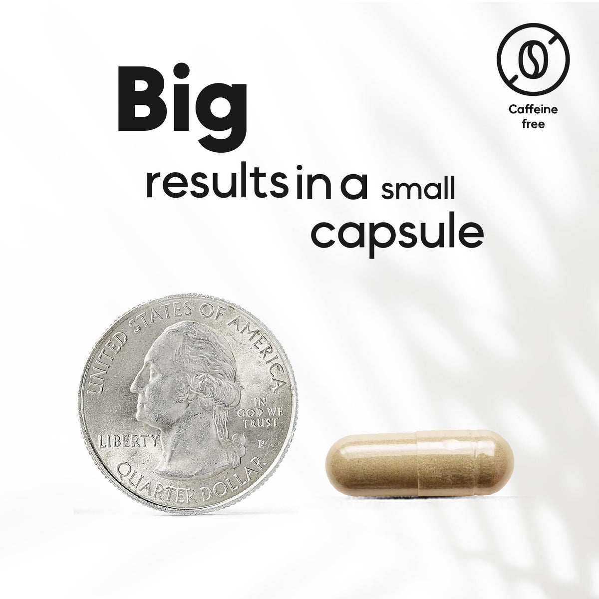 Three month supply bottle of Kaitamin 90 vegan capsules