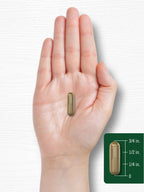 Carlyle Ginkgo Biloba with Bacopa extract veggie capsules bottle for Indian wellness consumers