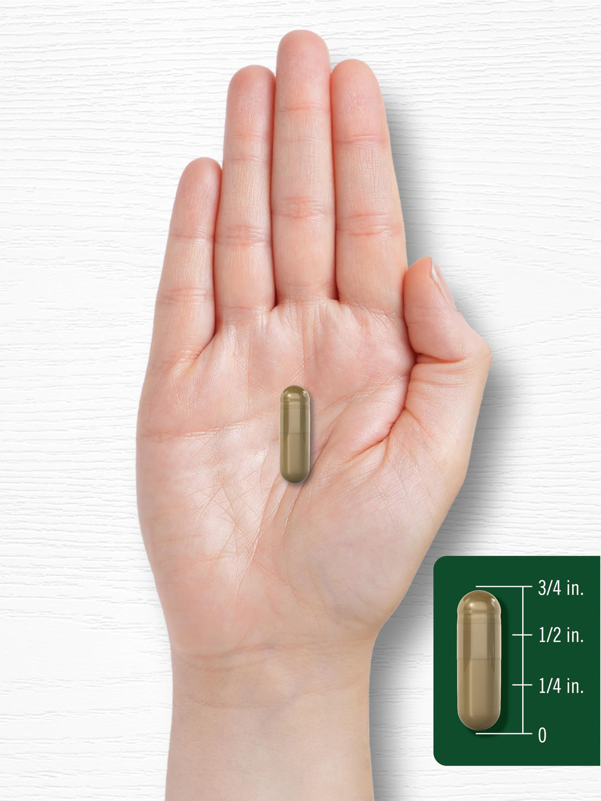 Carlyle Ginkgo Biloba with Bacopa extract veggie capsules bottle for Indian wellness consumers