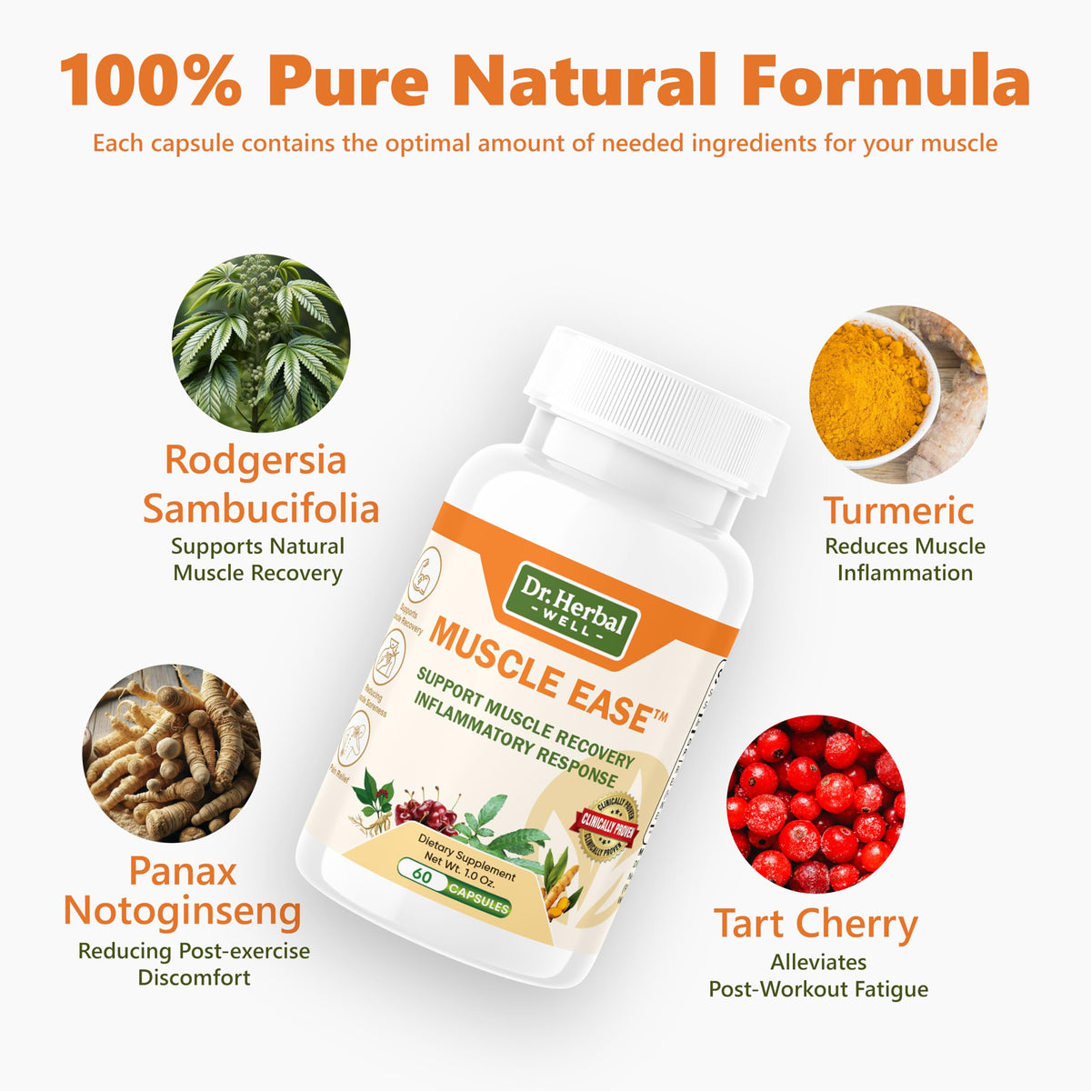 Dr. Herbal Well Muscle Ease ingredients list on bottle