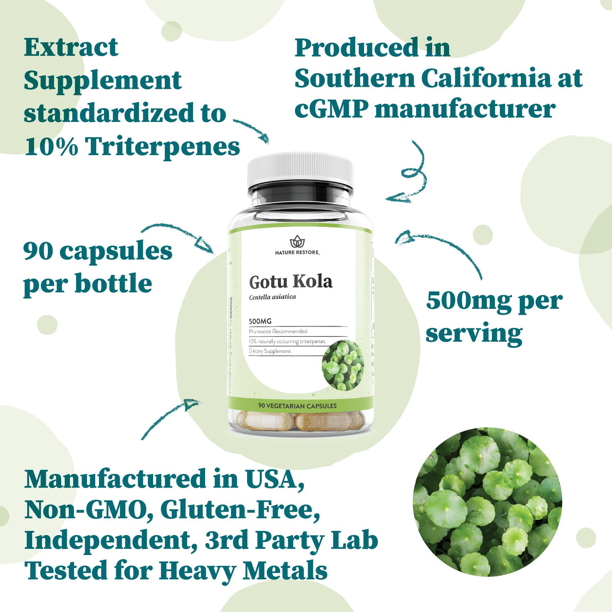 Back label of Nature Restore Gotu Kola supplement highlighting clean non GMO ingredients