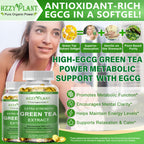 Side view of Hzzyplant green tea softgel capsules