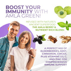 Authentic Amla Green antioxidant powder 30 servings