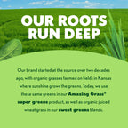 Amazing Grass organic greens blend powder texture in scoop