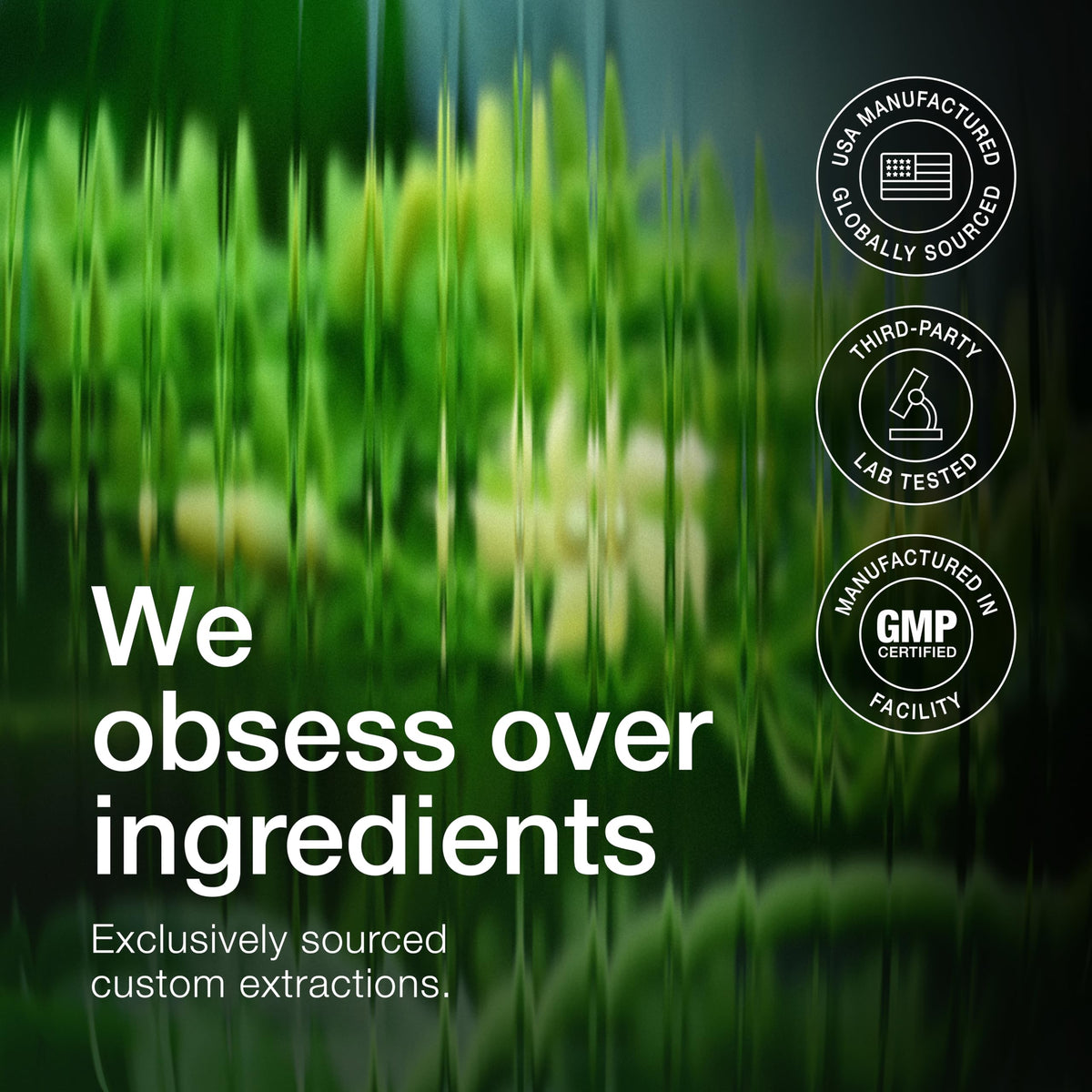 Toniiq Gymnema Sylvestre non GMO verified laboratory tested pure supplement