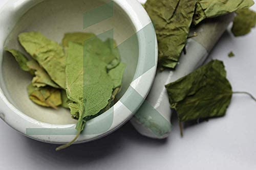 Bixa Botanical sugar destroyer supplement jar showing vegan and non-GMO certification seals