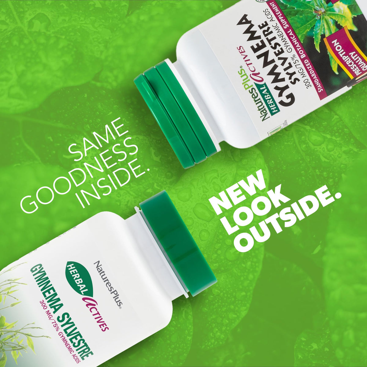 NaturesPlus Gymnema Sylvestre 60 vegan capsules packaging showing supplement facts and ingredients