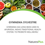 Side view of NaturesPlus Herbal Actives Ayurvedic botanical supplement for glucose metabolism