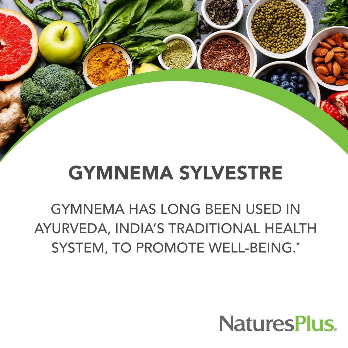 Side view of NaturesPlus Herbal Actives Ayurvedic botanical supplement for glucose metabolism