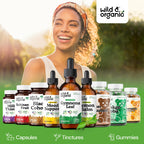 Authentic USA imported Wild And Organic Gymnema herbal liquid extract bottle graphic