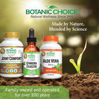 Botanic Choice Gymnema Sylvestre concentrated Ayurvedic formula clean ingredient view