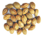 Close up of organic dried Terminalia chebula whole fruit