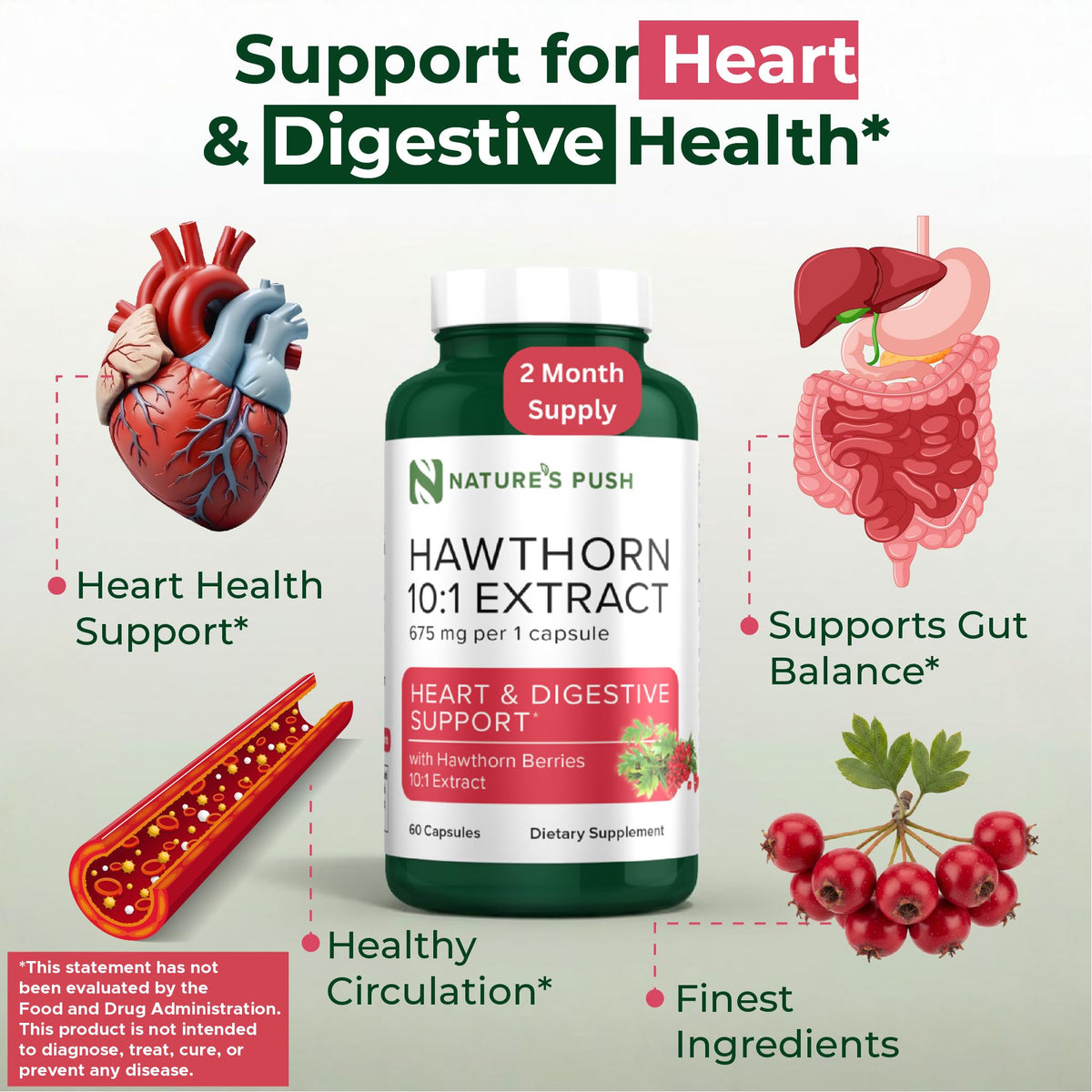 Nature's Push plant powered antioxidant hawthorn berry extract for blood pressure support