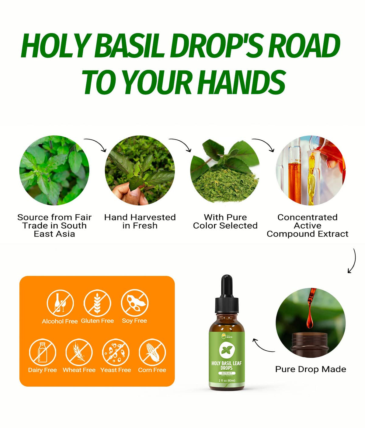 Authentic USA imported Holy Basil liquid extract