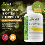 Jiva Botanicals holy basil capsules 90 count bottle