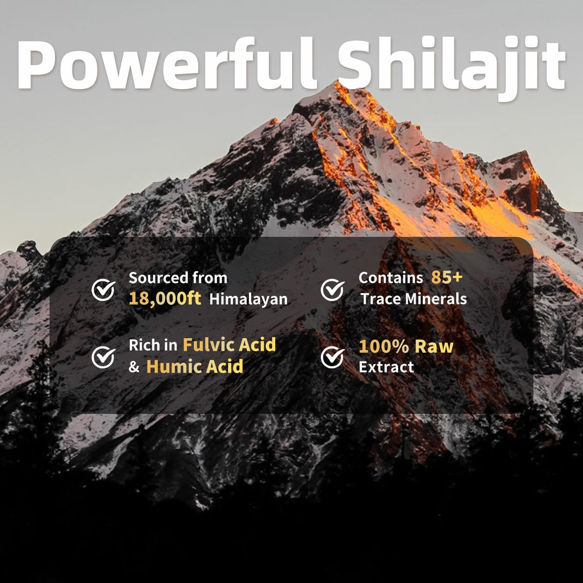 USA sourced BBEEAAUU adaptogen capsules package containing 400mg shilajit and 300mg sea moss