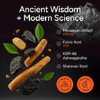 Premium Purify Life shilajit and KSM 66 ashwagandha capsules alternative gummy presentation.