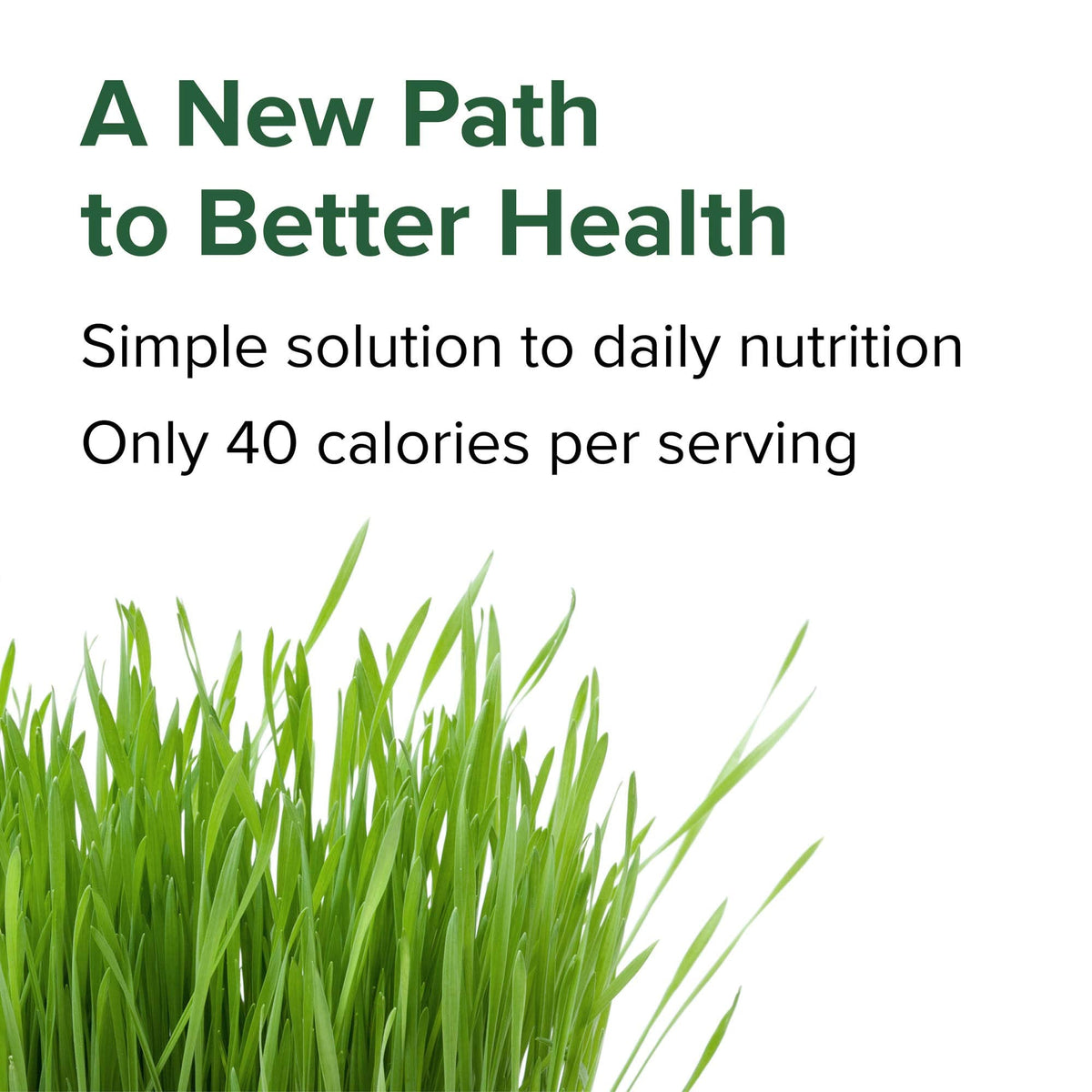 Plant based vegan green superfood capsules containing twenty five billion probiotics for gut health.