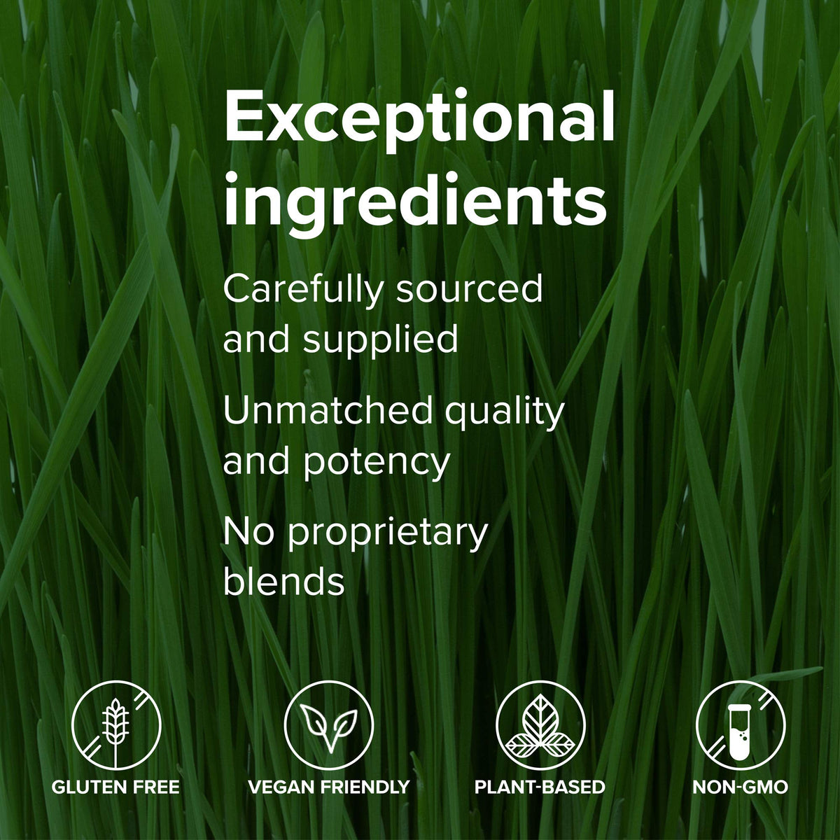 Vibrant Health whole food vegetable capsules providing comprehensive daily metabolic and immune support.