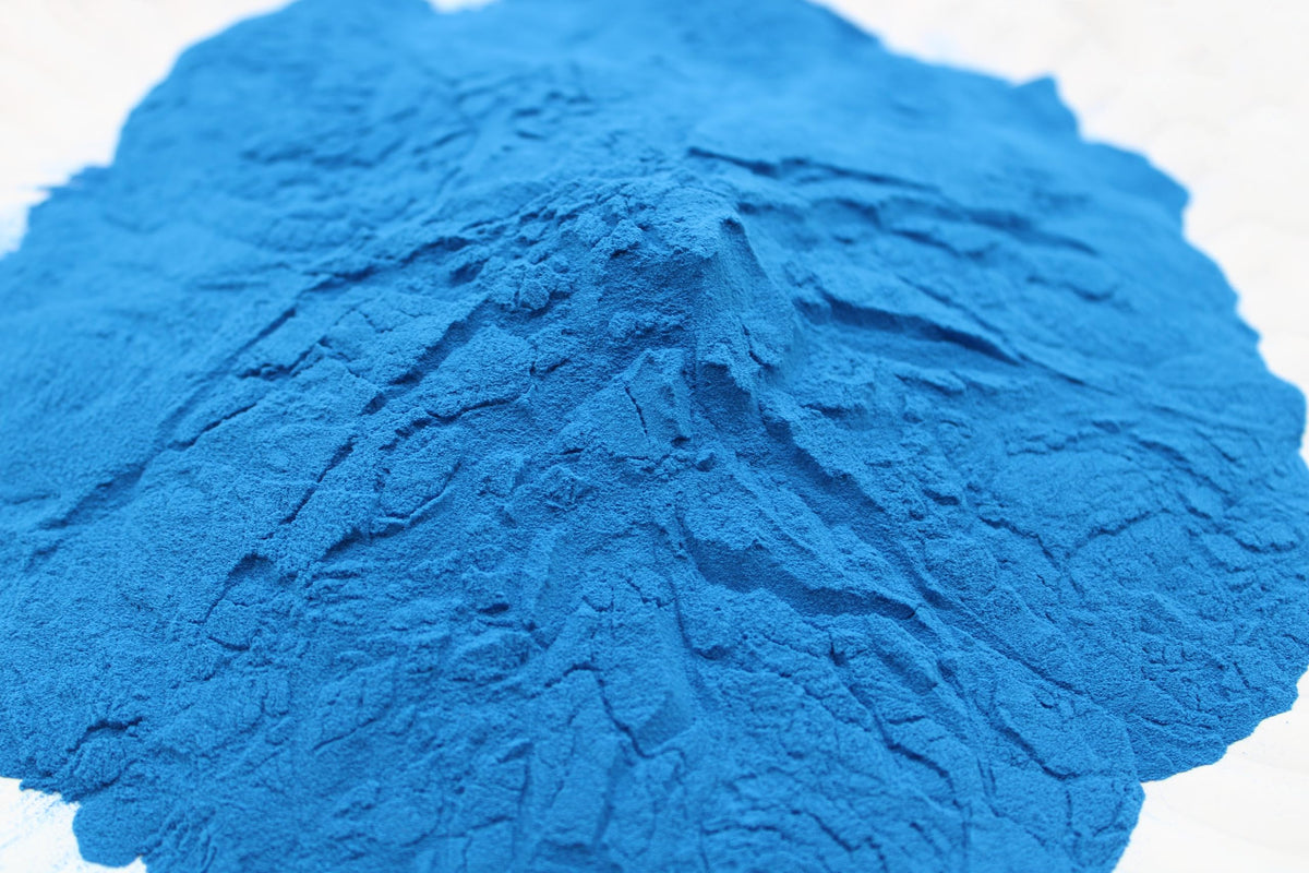 Nutrient dense plant protein blue spirulina powder close up texture