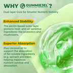 Nutrient dense spirulina and spinach chewable supplement for improved mental focus