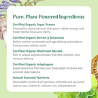 Pure Synergy Organic Green Superfood Powder non GMO vegan supplement jar side layout