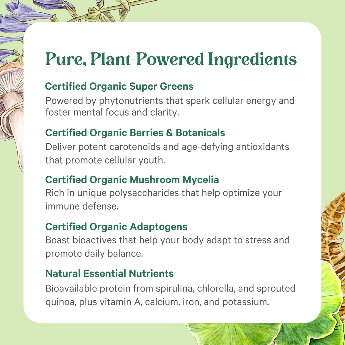 Pure Synergy Organic Green Superfood Powder non GMO vegan supplement jar side layout